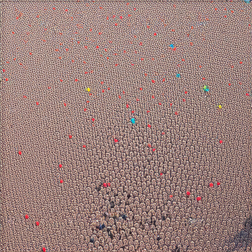 「探秘紅磡、觀塘與旺角的原子印！你絕不能錯過的特快體驗！」