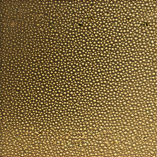 「水管沙眼潛藏的秘密！你將驚訝它對家庭水質的影響！」